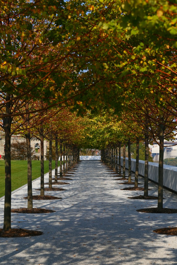 canon 85mm f1.2 lens