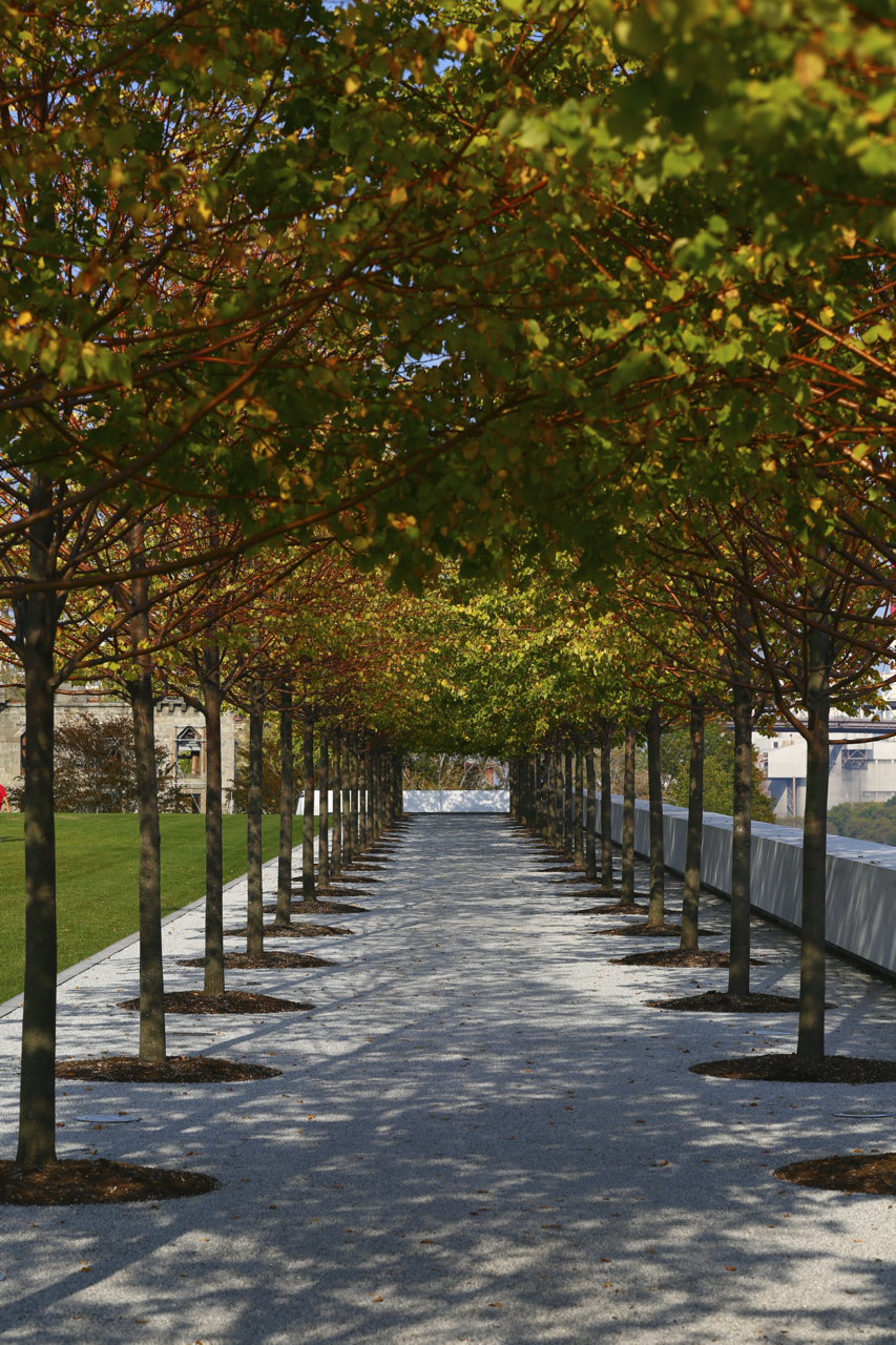 canon 85mm f1.2 lens