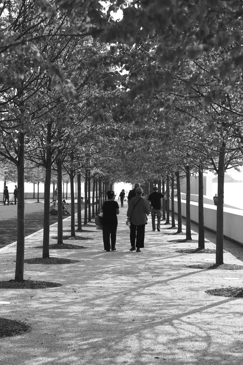 Canon 85mm f1.2 II lens sample photos