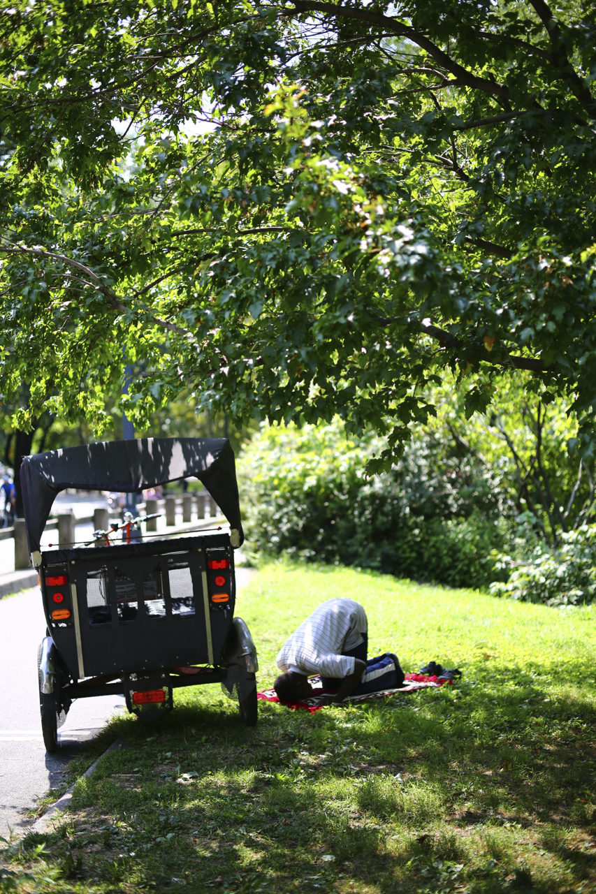 Zeiss 50mm f2 makro planar lens