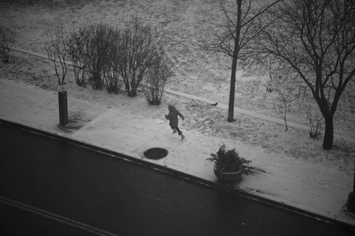 Zeiss 135mm apo sonnar