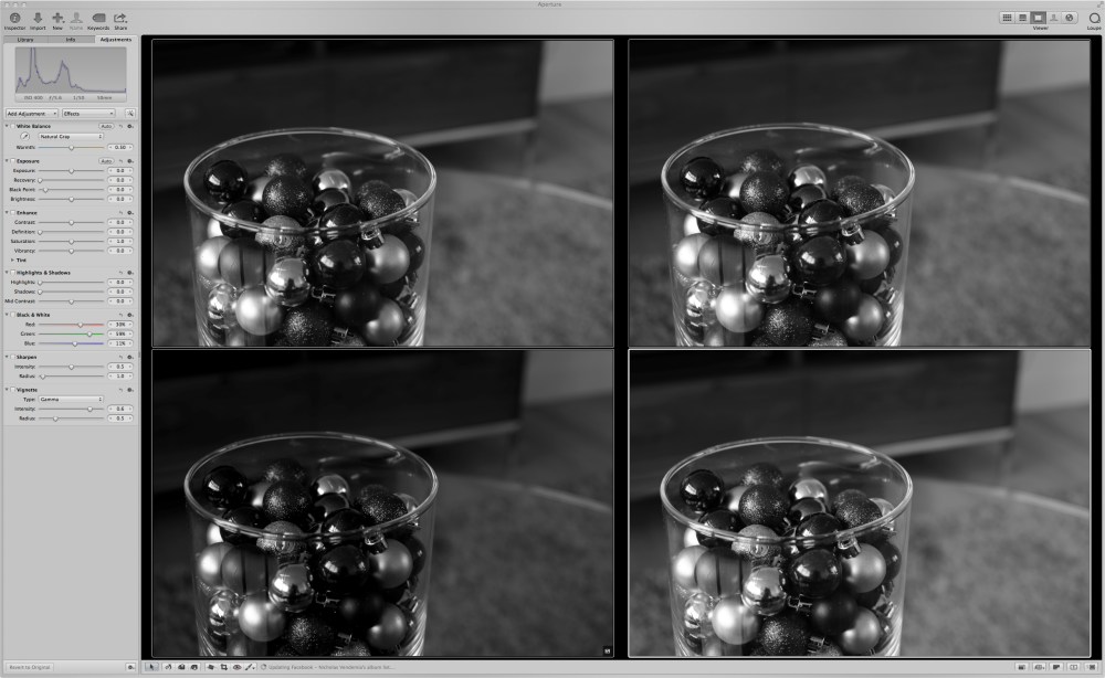 screenshot of Aperture photo layout used to select the best black and white photo