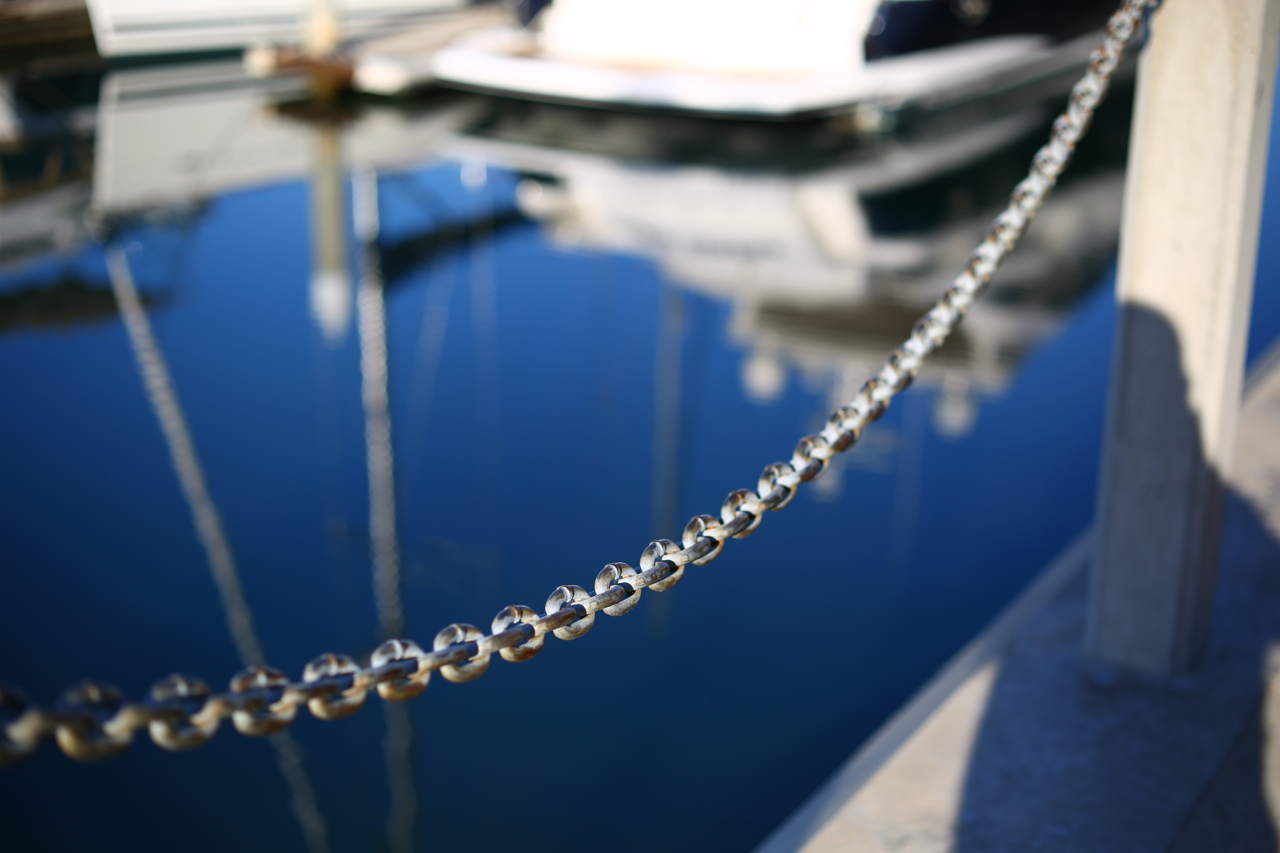 Zeiss 50mm f2 Makro Planar used on a Canon 5D Mark III