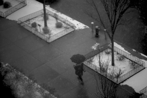 zeiss 135mm f2 apo sonnar lens