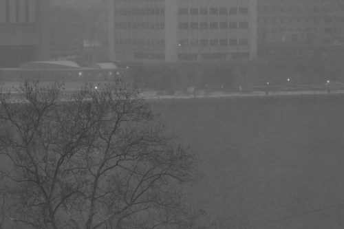 zeiss 135mm f2 manual focus apo sonnar lens