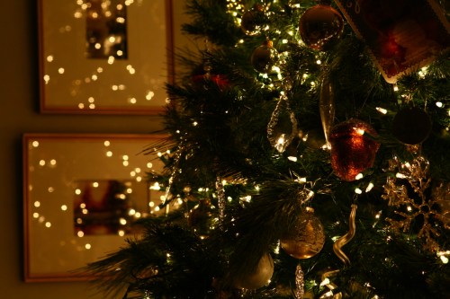 carl zeiss 100mm f2 makro planar lens ef mount canon