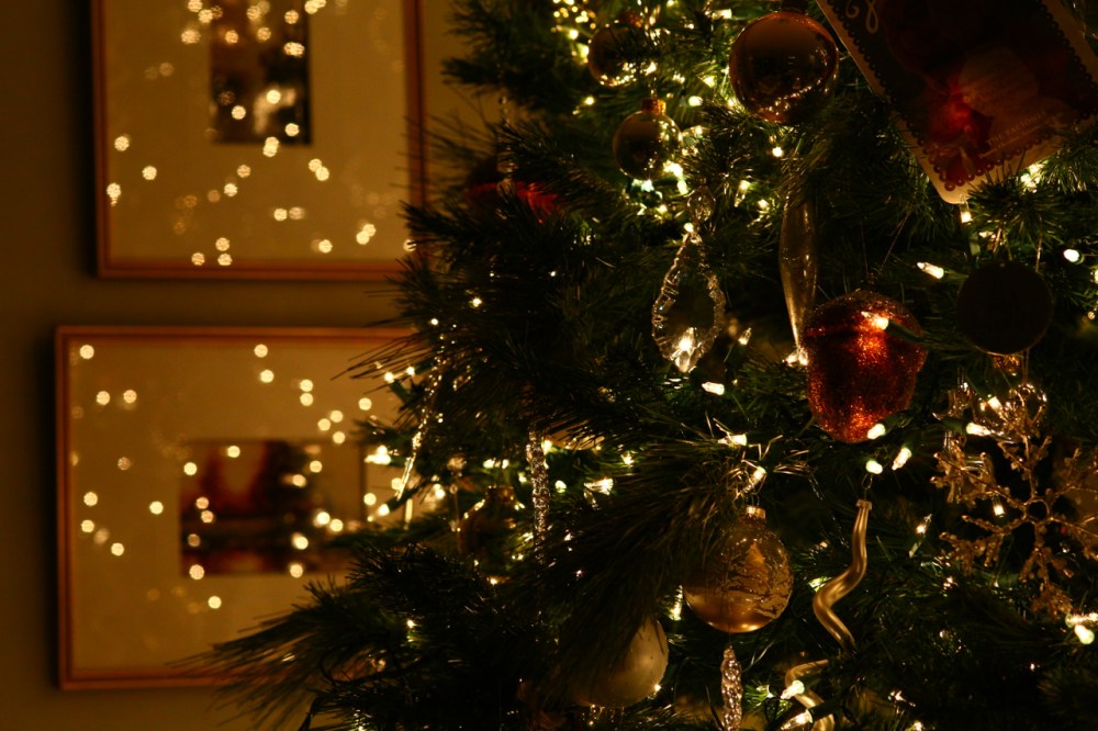 carl zeiss 100mm f2 makro planar lens ef mount canon