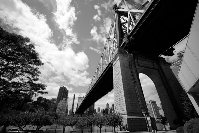 lead the way. vaperture. 11/12/13. Zeiss 15mm f/2.8 MF: Super Wide Angles - 039 - Version 2