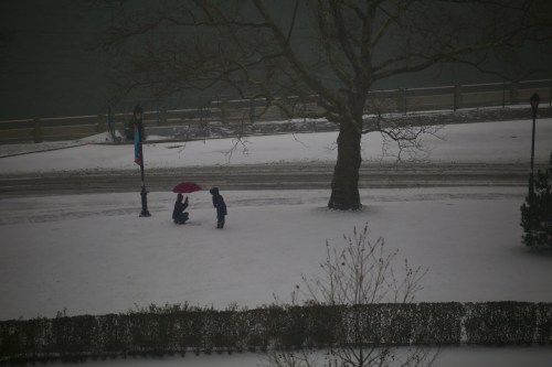 Carl Zeiss 135mm APO SONNAR lens