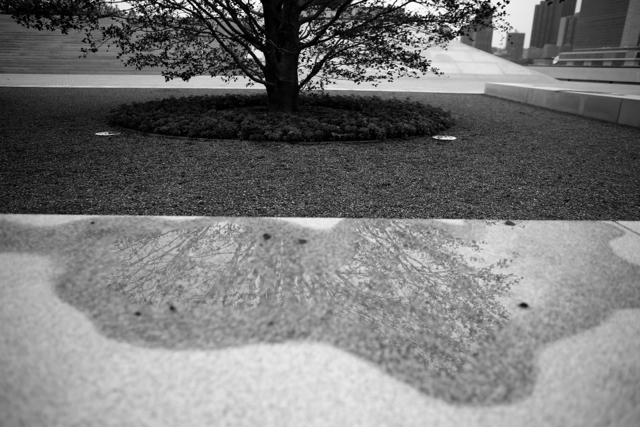 reflection. vaperture 11/9/13. Zeiss 25mm f/2 MF: Stormy Evening - 61 - Version 2