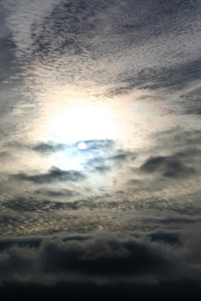 Zeiss 100mm makro planar lens for canon ef mount