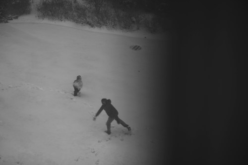 Zeiss 135mm apo sonnar manual focus lens