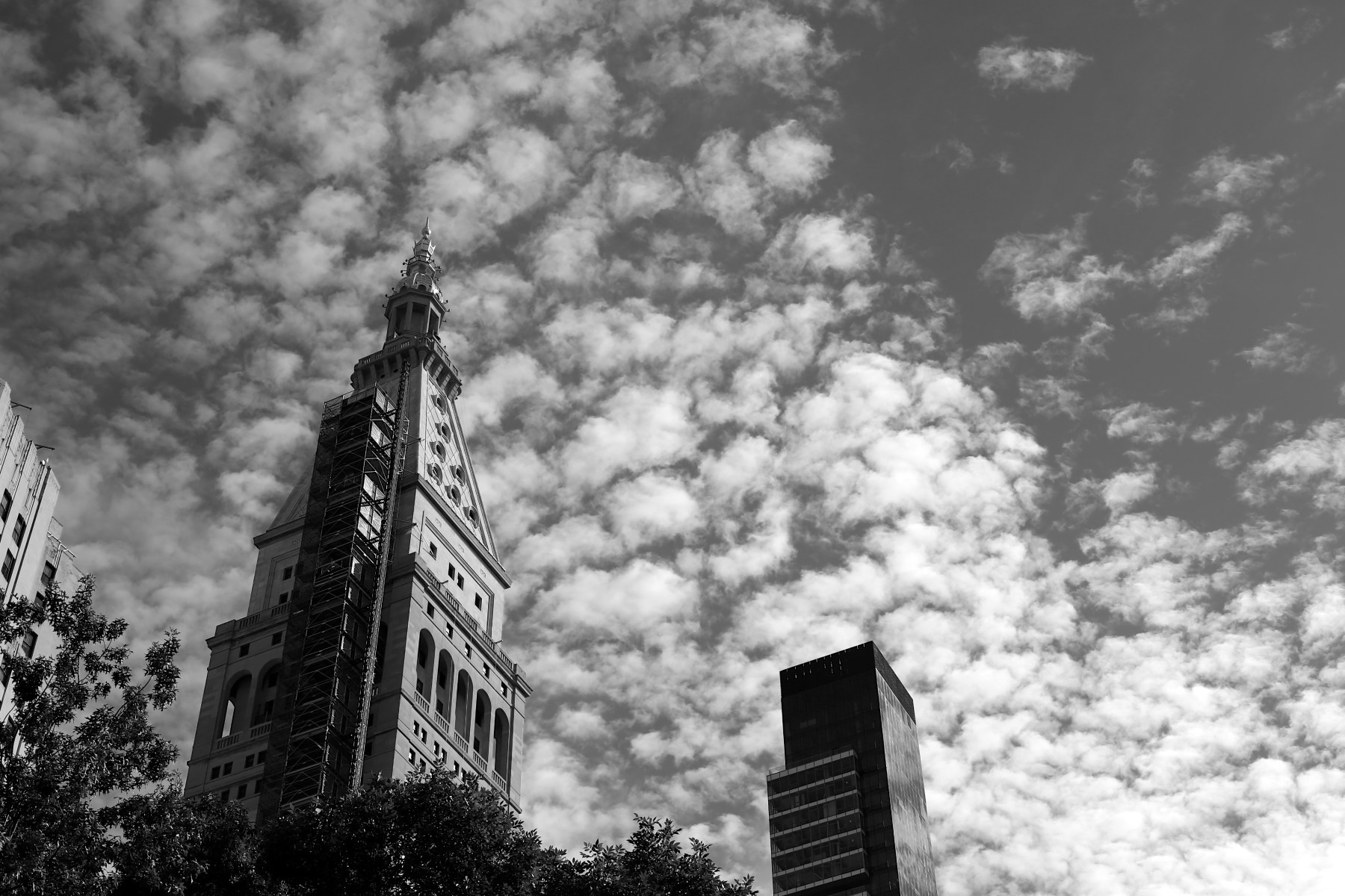 Zeiss 50mm f2 Makro Planar lens,