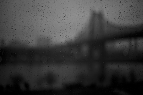 Zeiss 50mm f2 Makro Planar lens