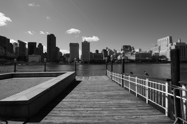 zeiss 15mm f2.8 distagon