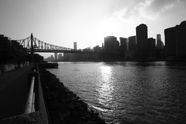 Zeiss 21mm f/2.8 MF: South Roosevelt Island - 120
