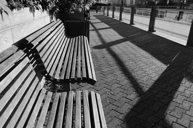 Zeiss 25mm f/2 MF: Evening Sunlight - 75