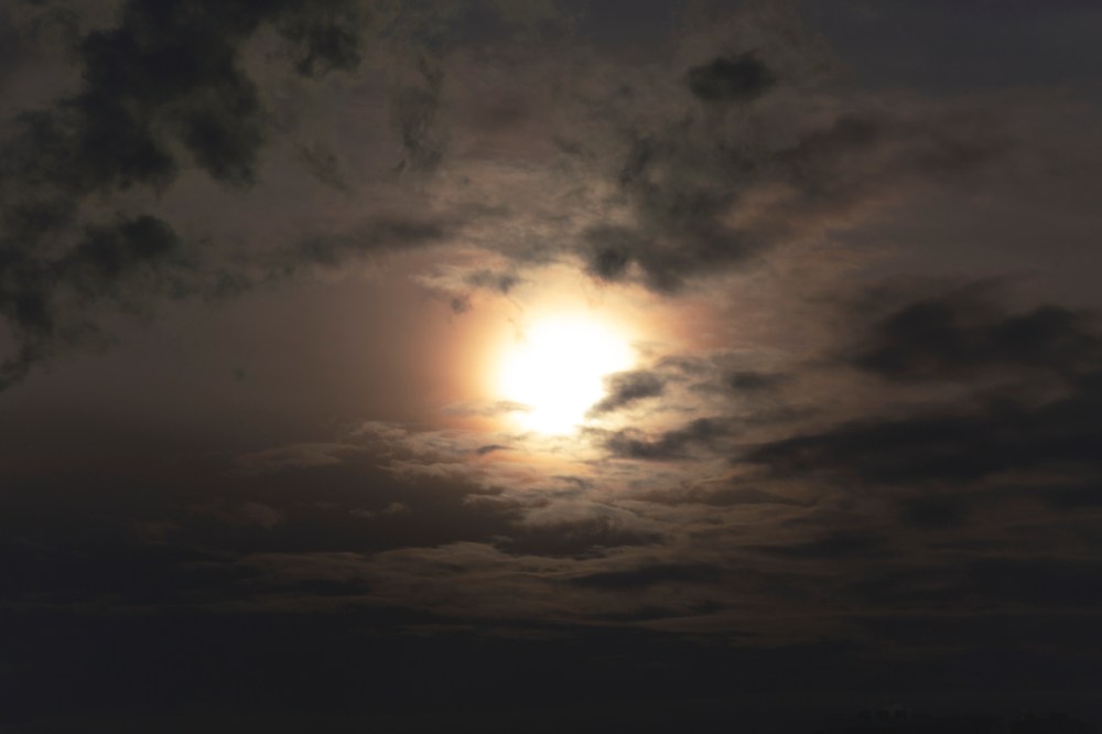 Zeiss 135mm f2 apo sonnar lens