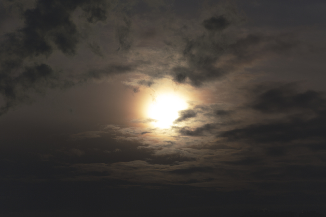 Zeiss 135mm f2 apo sonnar lens