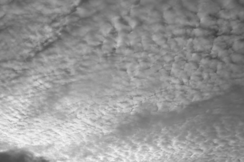 Zeiss 50mm Makro Planar Lens