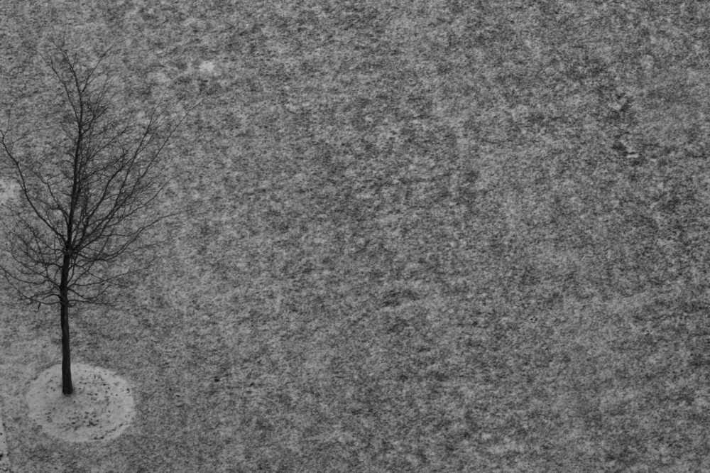 Zeiss 135mm f2 apo sonnar manual focus lens