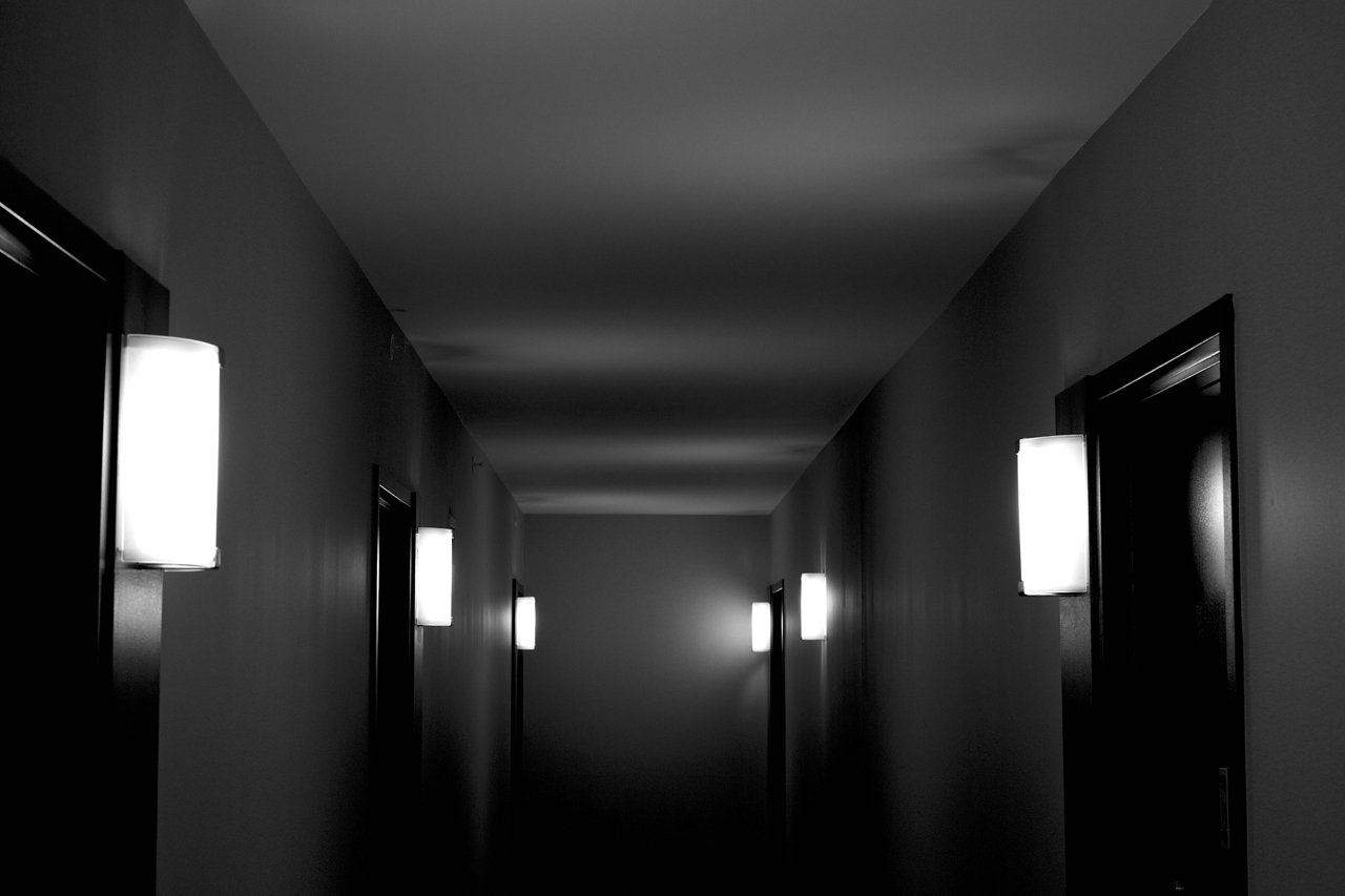 Zeiss 50mm f2 Makro Planar ZE lens