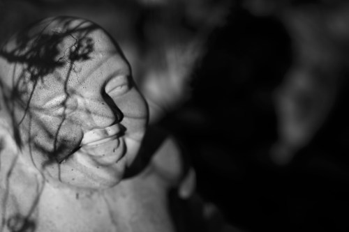 zeiss 100mm makro planar ze mount lens