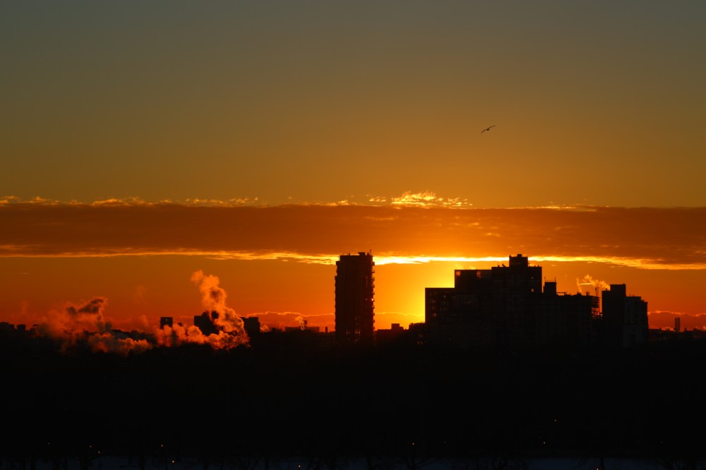 Zeiss 135mm f2 apo sonnar lens