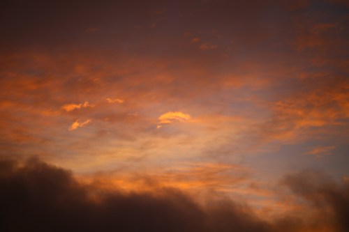 Zeiss 100mm f2 makro planar ze mount lens for canon