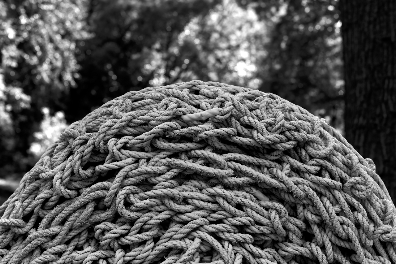 Zeiss 50mm f1.4 lens