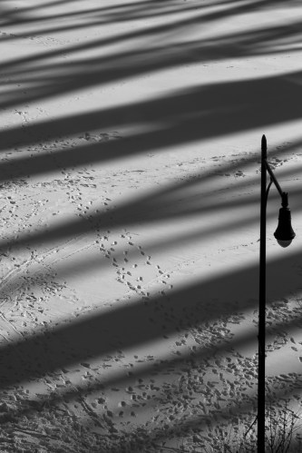 Zeiss 135mm f2 manual focus lens