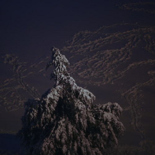 Zeiss 135mm f2 apo sonnar lens