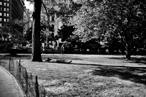 Zeiss 35mm f1.4 Distagon lens