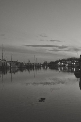 zeiss 35mm f2 distagon lens