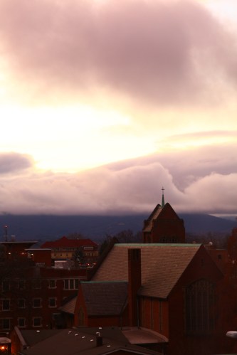 Zeiss 100mm f2 makro planar