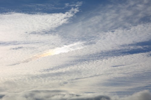 zeiss 100mm f2 ZE mount Makro Planar lens photos