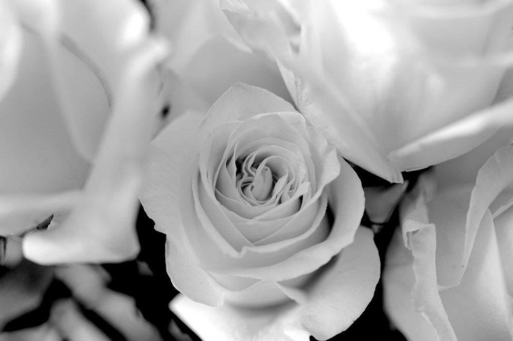 Zeiss 50mm f2 Makro Planar ZE mount for Canon 5D Mark III