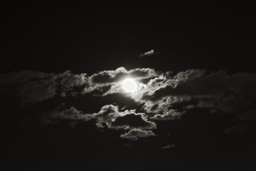 Zeiss 135mm Apo Sonnar manual focus lens