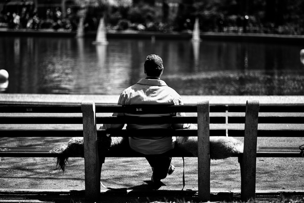 Zeiss 100mm f2 makro planar lens