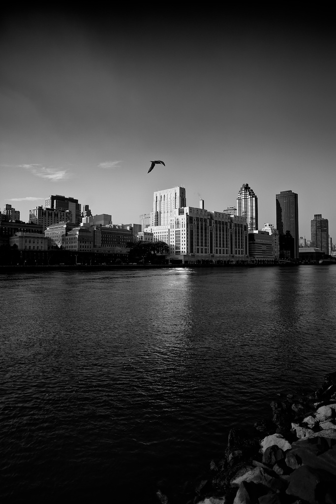 Zeiss 21mm f2.8 ZE manual focus lens