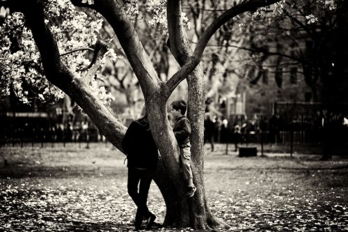 Zeiss 100mm f2 Makro Planar