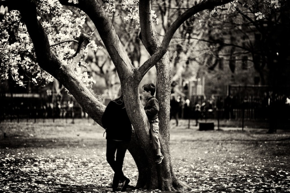 Zeiss 100mm f2 Makro Planar