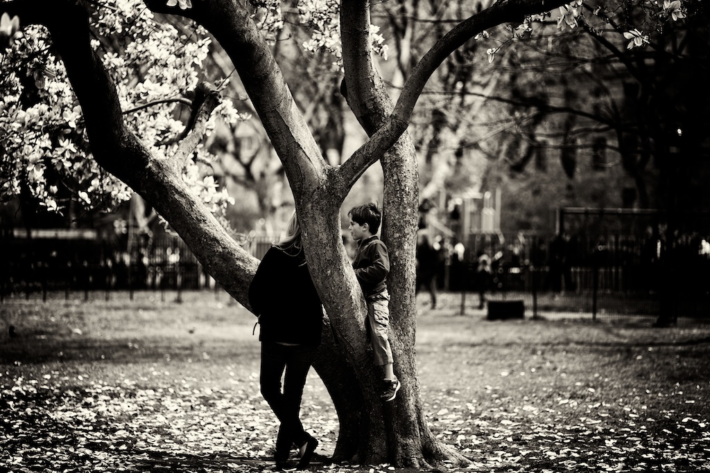 Zeiss 100mm f2 Makro Planar