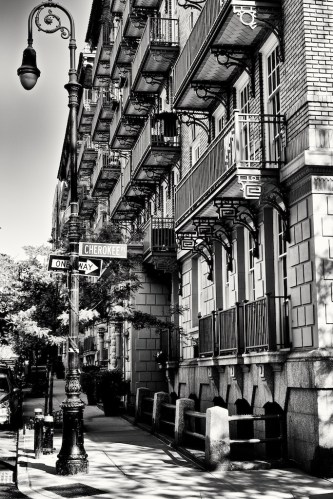 Zeiss 55mm f1.4 Otus lens photos