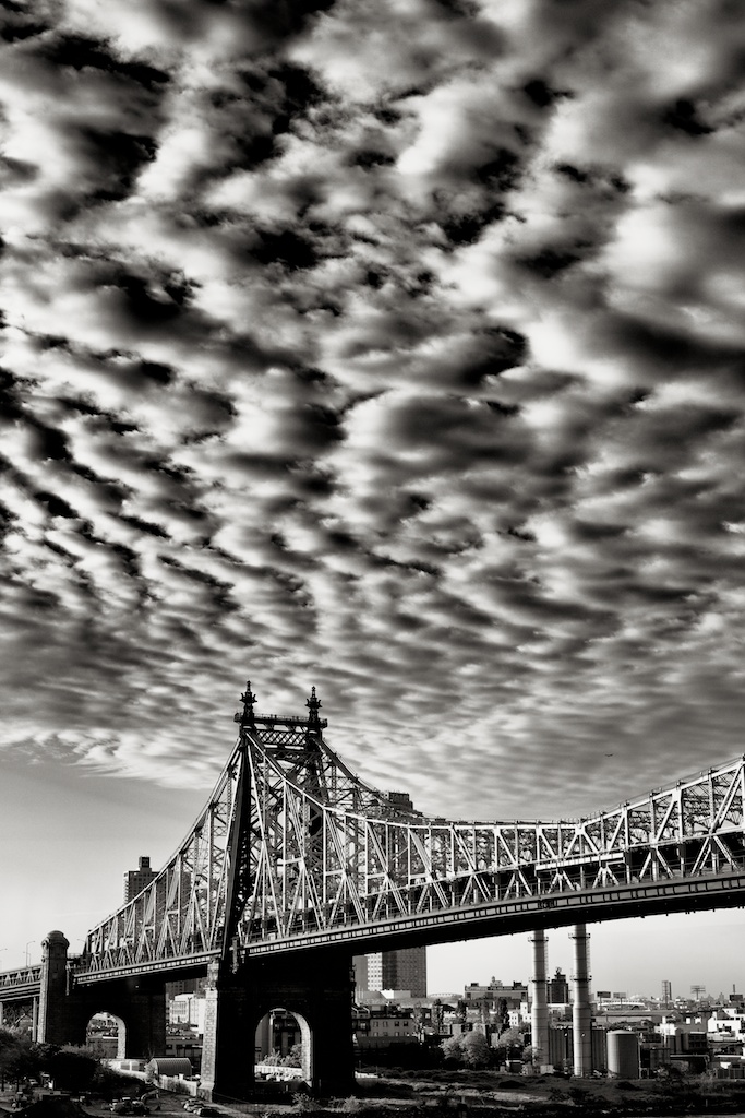 Zeiss 55/1.4 Otus manual focus lens for Canon