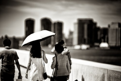 Zeiss 135mm f2 Apo Sonnar manual focus lens photos