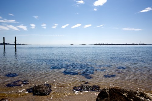 Zeiss 25mm f2 Distagon manual focus lens