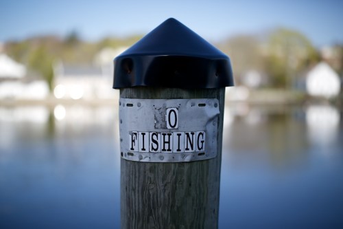 Zeiss 55mm f1.4 Otus