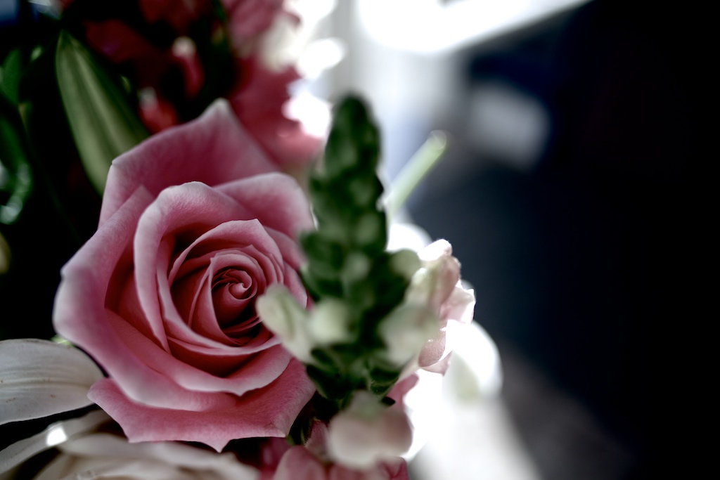 Zeiss 28mm f2 Distagon lens photos